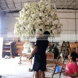 GNW Technology Co., Ltd. company overview - view 3 thumbnail