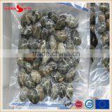 Frozen Boiled Baby Clam thumbnail-2