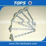 Low Price Galvanized Umbrella Roofing Nails thumbnail-2