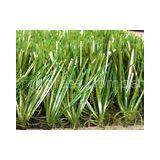 Poly Ethylene Sport Football Artificial Grass Lawn , Fake Turf Grass thumbnail-1