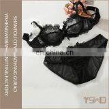 Woman Fashion Underwear Set Transparent Lace Bra and Brief Sets thumbnail-3