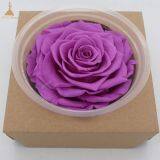 Big Size Preserved Flower Rose for Decor Supplies thumbnail-4