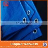 transparent polyethylene terephthalate sheet,water resistant and mold resistant fabric