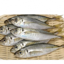 BQF IQF Whole Round Scad Mackerel Frozen Horse Mackerel Fish thumbnail-2