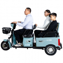 3 Wheels 800w Motor Long Endurance Electric Tricycle Adult Electric Tricycle for Hauling Goods thumbnail-2