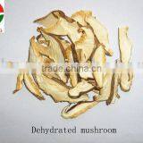 dried shiitake mushroom