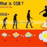 China Suppliers Wholesale 2016 Best Selling Led Lighting Lamp 30w Cob Led Downlight thumbnail-4