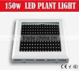 Super Plant Cultivation Hydroponic Led Grow Light