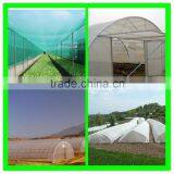 Suntex Virgin HDPE Elastic Insect Mesh Netting Antil Bird Netting thumbnail-4