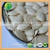 Highly Quality Shine Skin Pumpkin Seeds thumbnail-2