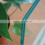 Skylight Laminated Glass With ANSI & EN12150 Certificate thumbnail-2