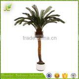 Hot Sale Oranmental Artificial Cycas Revoluta Tree for Sale From China thumbnail-4