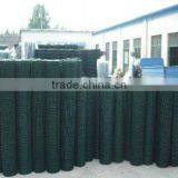PVC Coated Welded Wire Mesh(Youjie Manufacturer)