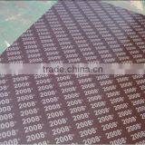 Film Faced Plywood FROM SHANDONG thumbnail-4