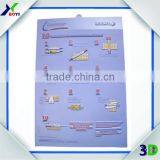 Medical Poster 3D Brain Anatomical Chart Embossed Poster