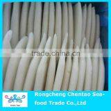 Frozen Clear Squid Tube u8