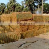 COIR FIBER thumbnail-1
