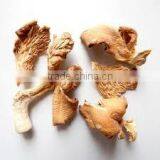 Detan Wholesale Dried Oyster Mushrooms for Customer thumbnail-5