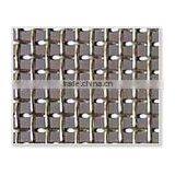 Galvanized Crimped Wire Mesh