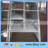 H / Ladder Frame Scaffolding and Top Selling a Frame Scaffolding With New Product thumbnail-6