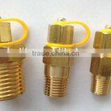 Quick Pressure and Temperatue Brass Test Plug ,test Point thumbnail-1