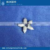 Chinese High Quality Tungsten Carbide Teeth for Tool Parts thumbnail-1