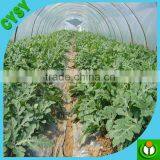 New Design High Quality Woven Fabric Greenhouse Film,solar Control Clear Waterproof Membrane Vegetables Planting Equipment thumbnail-4