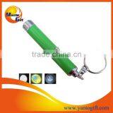 LED Projective Keychain