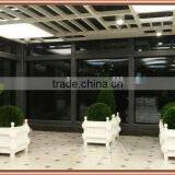 Custom Preserved Boxwood Topiary for Dior Store Decoration thumbnail-1