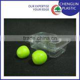 Disposable Clear Vegetable and Fruit Containers thumbnail-1