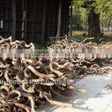 Natural Liana Sculpture thumbnail-1