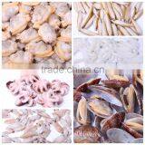 Wholesale Frozen Seafood Short Necked Clam IQF Frozen China thumbnail-2
