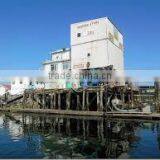 Atlantic Lobster - Live thumbnail-3