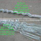 Tomato Spirals Factory