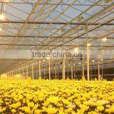 Good Quality Multi Span Polycarbonate Flower Greenhouse With Shading System and Growing Lighting System thumbnail-1