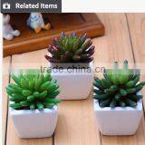 Factory Hot Sale Artificial Succulents Plants Mini Artificial Succulents thumbnail-3