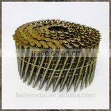 Factory Supply Top Quality Wire Holding Coil Nails thumbnail-3