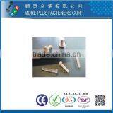 Made In Taiwan Plastic Screw Pan Head MPF Plastic Screw thumbnail-4