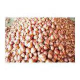 Non-Peeled Fresh Red Asian Shallot Contains Fibre , Anti-Inflammatory thumbnail-1