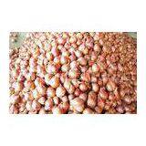 Non-Peeled Fresh Red Asian Shallot Contains Fibre , Anti-Inflammatory