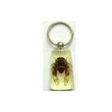 Insect Teaching Aid Suit,insect Key Chains,insect Bracelets,insect Neckalce