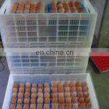 30 Holes Plastic Egg Tray for Packing and Transportation 30*30*5 cm Plastic Egg Tray thumbnail-6