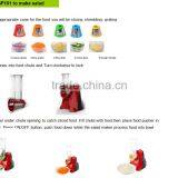 Best Price and Nice Quality Vegetable Slicer and Frozen Fruit Maker Frozen Dessert Maker Ice Cream Maker