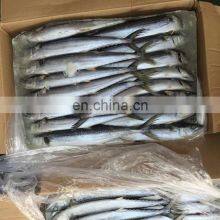 Fresh Seafood Scientific Name of Spanish Mackerel thumbnail-1