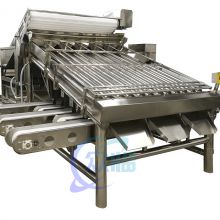 Shrimp Grading Machine with 12 Rollers     Shrimp Processing Line     China Seafood Processing Machinery