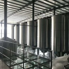 Stainless Steel 304 Craft Beer Making Equipment 100L 200L 300L 500L 1000L Per Batch