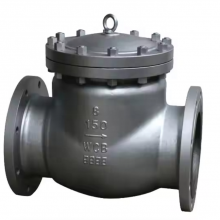 New Product API600 API6d Wcb Check Valve Stainless Steel 150lb 300lb Check Valves Full Port Check Valves for Oil Gas thumbnail-1
