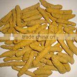 Turmeric thumbnail-1