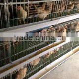 Full Automatic Welded Wire Mesh Chicken Breeder Cages thumbnail-1