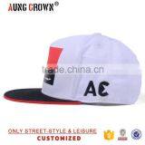 Sublimation Printed Trendy Designer Snapback Hats Custom Logo thumbnail-3